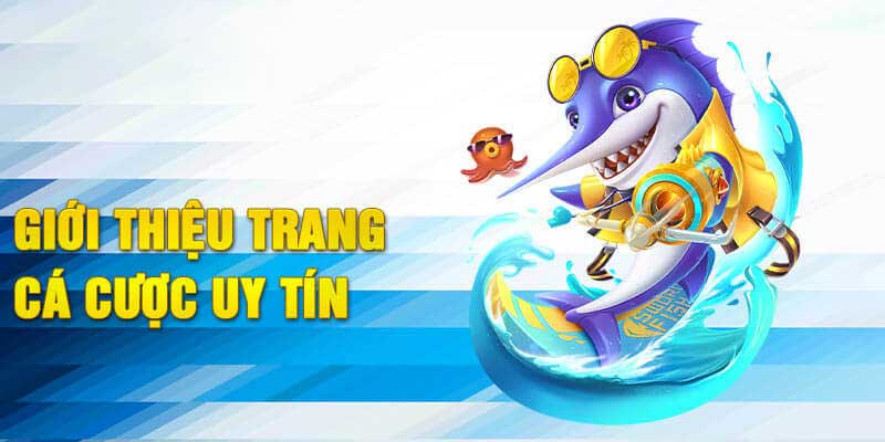 Những chuyên mục nổi bật tại V8WIN
